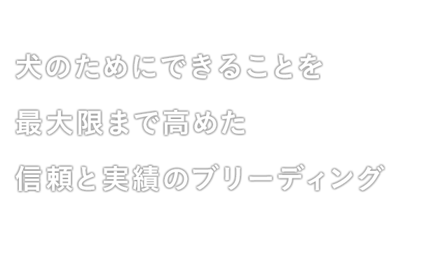 犬のためにできることを最大限まで高めた信頼と実績のブリーディング