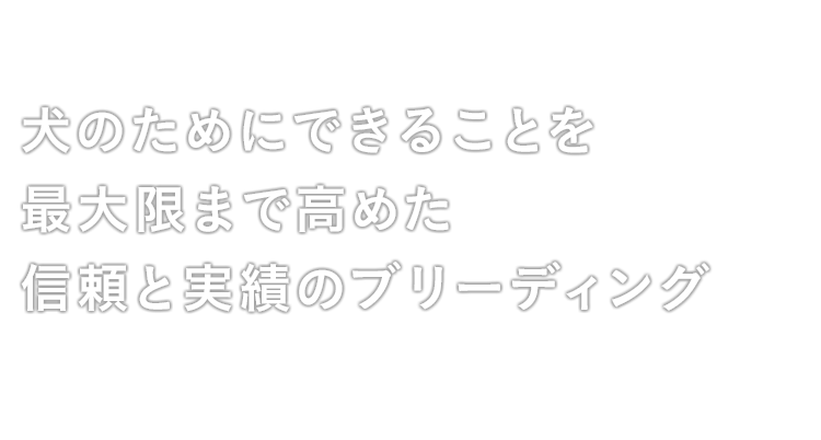 犬のためにできることを最大限まで高めた信頼と実績のブリーディング